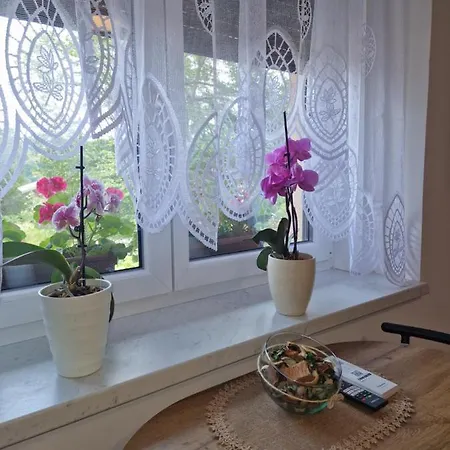 Greg's Ilirska Bistrica