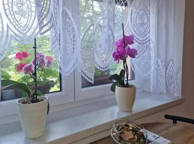 Greg's Ilirska Bistrica