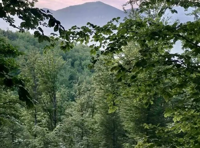 Privatunterkunft Greg's Ilirska Bistrica